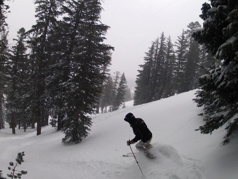 Mammoth Powder Alert!